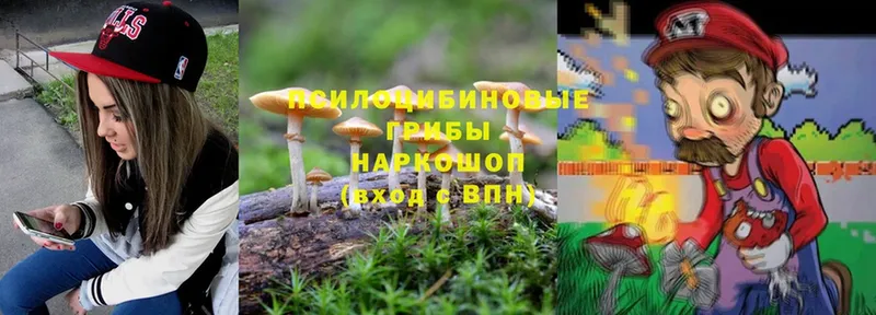 хочу наркоту  кракен зеркало  Галлюциногенные грибы Magic Shrooms  Далматово 